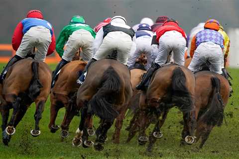 Irish jockey given FOUR-YEAR cocaine ban after testing positive in ‘one-off’ situation