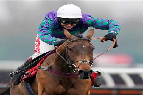 Cheltenham Festival ante post tip: Templegate says 6-1 for this top class stayer is an absolute..