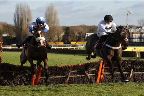 Nicky Henderson prepares unbeaten Cheltenham Festival fancies Constitution Hill and Jonbon for next ..