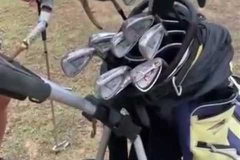 Watch monster robber crab snap golf club in half ‘like a chainsaw’ to leave golfers stunned in..