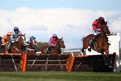 Cheltenham Festival ante post tip: Templegate says 14-1 for exciting chaser is great value