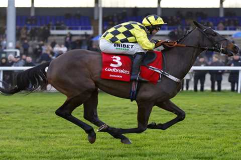 Racing preview: One horse, one longshot & one jockey for Saturday at Ascot, Lingfield, Haydock, ..