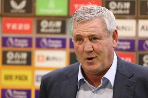 Steve Bruce will be named new West Brom manager job within DAYS just three months after Newcastle..