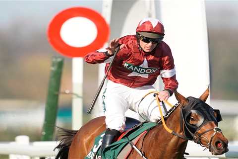 Tiger Roll OUT of Grand National and last race may be at Cheltenham Festival as O’Leary slams..