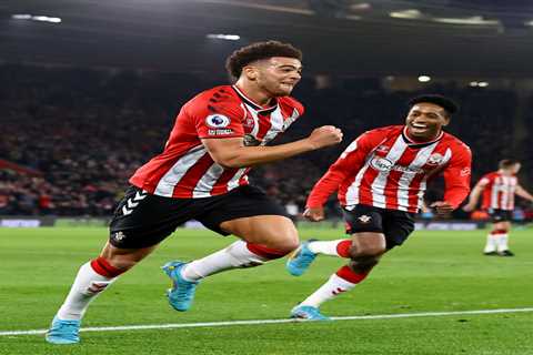 Southampton 2 Norwich 0: Che Adams strike and Oriol Romeu beauty see off Premier League basement..