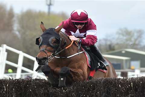 Cheltenham Festival: Tiger Roll to ‘go out in blaze of glory’ says Ruby Walsh but punters want him..