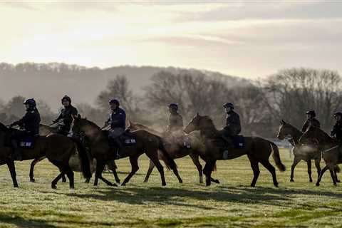 Cheltenham Festival 2022 weather forecast and  going for this week – latest from Prestbury Park