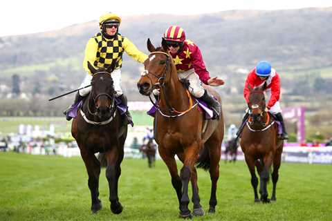 Cheltenham Festival – Gold Cup betting: Get an Irish-trained winner at HUGE 20/1 with William Hill..