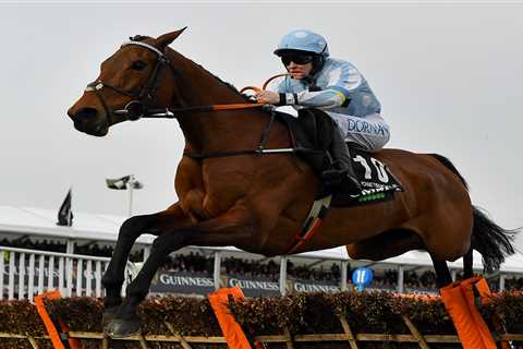 How to watch 5.30 Champion Bumper at Cheltenham Festival on TV and live stream