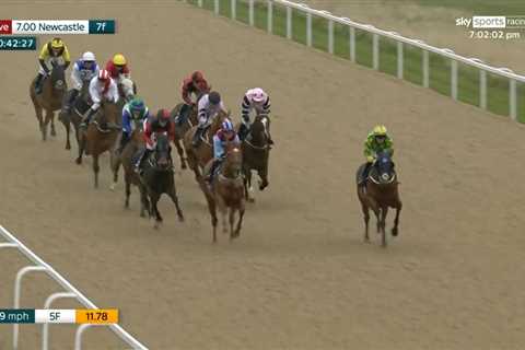 ‘Actually ridiculous’ – Watch horse come from dead last to win with ride that leaves punters stunned