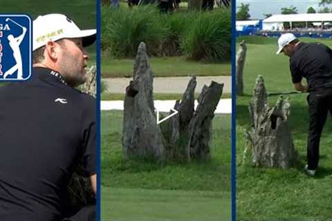 Branden Grace’s ruling after unlucky drive finds split tree stump, still makes miracle par