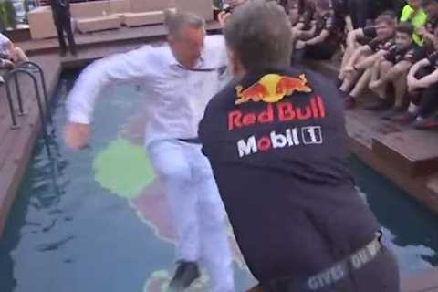 Watch hilarious moment Red Bull boss Christian Horner throws Sky Sports reporter into pool during..