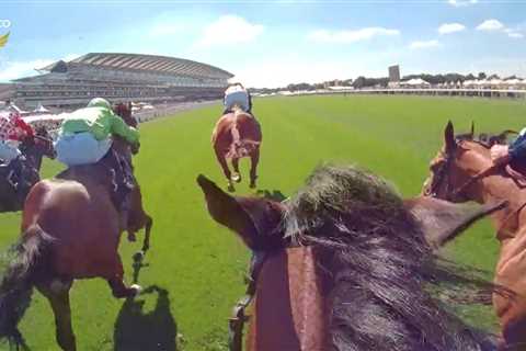 ‘Pure class’ – Watch incredible on-board footage showing jaw-dropping speed superstar Royal Ascot..