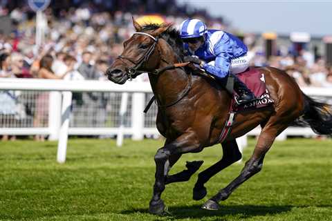 Royal Ascot 2022 – odds boost: Get Alfred Munnings at 30/1 to win the Chesham Stakes on Saturday..