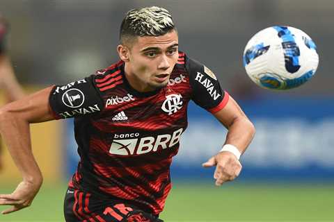 Man Utd miss out on £9m windfall to boost summer transfer coffers as Flamengo turn down Andreas..