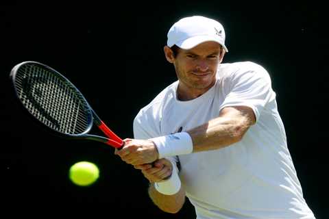 ‘I still believe’ – Andy Murray says he CAN win Wimbledon despite his five years of injury hell