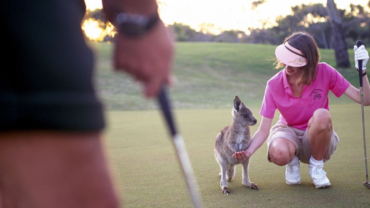 Amid speculation, Will Zalatoris announces full commitment to PGA Tour and DP World Tour