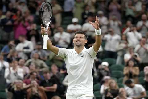 Novak Djokovic goes 25 matches unbeaten at Wimbledon as No1 seed survives scare to beat Tim van..