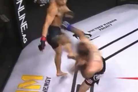 Watch MMA fighter An Tuan Ho deliver brutal fight-ending kick after just 14 SECONDS that lifted..