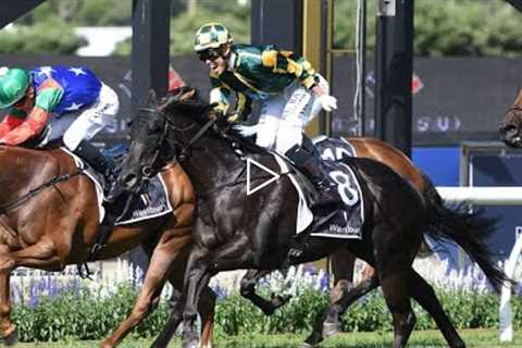 Japanese Jockey Taiki Yanagida  last horse race that caused his death.