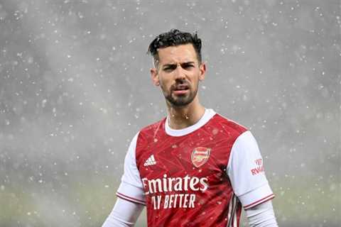 Arsenal push ahead with summer sales as Pablo Mari seals loan exit to Monza with view to permanent..