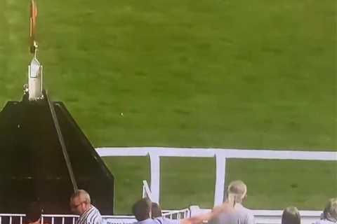 Watch idiot racegoer throw drink at horses as furious punters call for lifetime ban after..