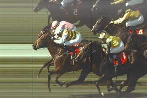 ‘Worst decision ever’ – Dramatic photo-finish controversy sees winning horse demoted and robbed of..