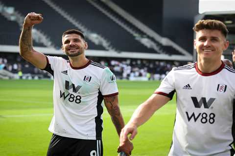 Alexander Mitrovic smashes Tom Cairney’s car window then sends Fulham pal WhatsApp message showing..