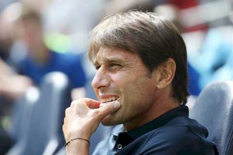 Tottenham could make further summer signings, Antonio Conte confirms