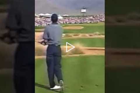 Tiger Woods Hole in One! 2022 Best Youtube Shorts! PGA Golf!