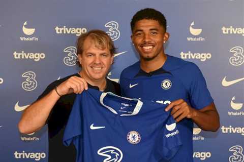 Chelsea owners rose to transfer learning curve during chaotic record-breaking summer recruitment..