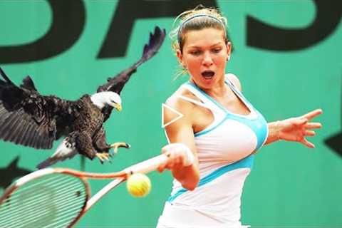 20 EPIC MOMENTS WITH ANIMALS IN SPORTS