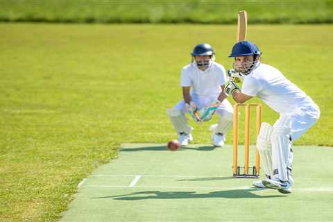 Woke madness as cricket bosses ban phrases such as ‘ladies and gentleman’ and ‘young at heart’