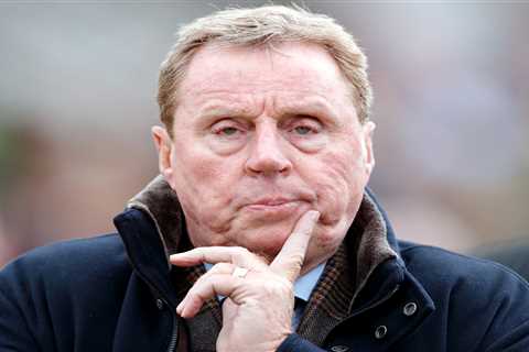 Harry Redknapp offered big money for latest transfer as offers flood in for his £500,000 racehorse