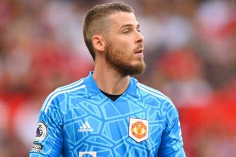 Man Utd told goalkeeper solution that could save Erik ten Hag £25m in De Gea replacement