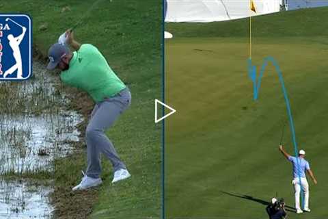 Best short game shots of the year on the PGA TOUR | 2021