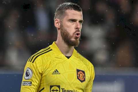 Ex-Premier League keeper Foster thinks De Gea ‘problem’ could actually save Man Utd £80m