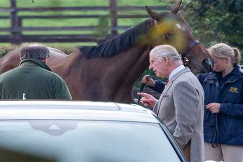 King Charles pictured inspecting Queen’s racehorses before making £1m by selling 14 of them in..