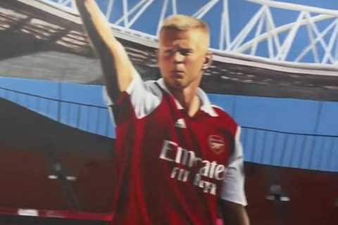 Inside Oleksandr Zinchenko’s Arsenal-themed home gym with incredible mural of defender at the..