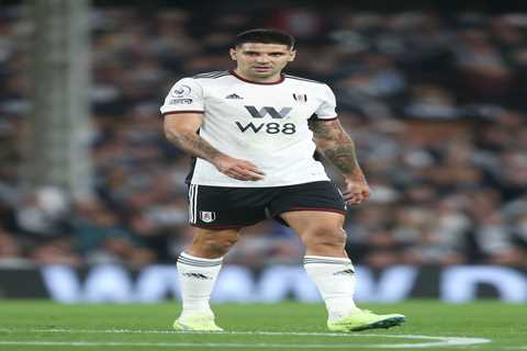 Fulham boss calls for players to fill the void left by Mitrovic against Man Utd as star sweats on..