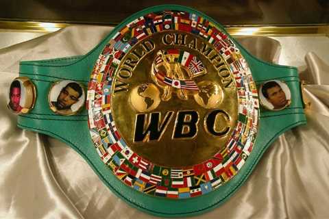 Top Boxing Organizations and Belts (Ranked)