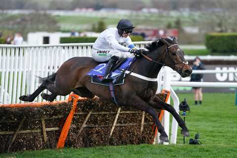 Bookies think Constitution Hill will swerve Fighting Fifth as ‘brilliant’ Honeysuckle starts road..