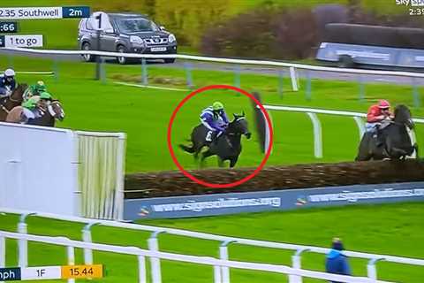 ‘What have I just seen?’ – watch jockey’s bizarre fall at the last that’s left punters absolutely..