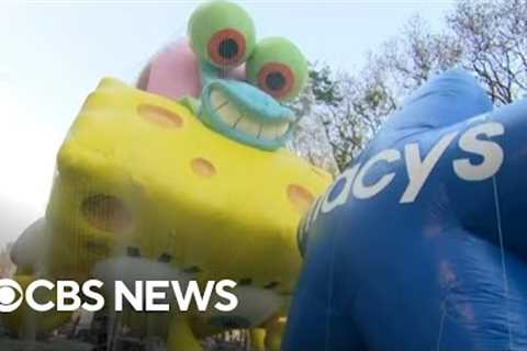 Macy''s Thanksgiving Day Parade balloons spring to life ahead of festivities