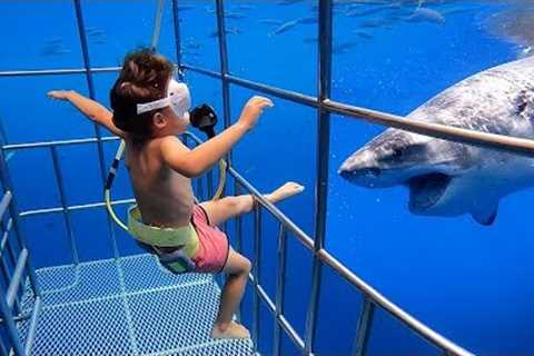 5 YR OLD Scuba Dives with GREAT WHITE SHARKS in Mexico!!