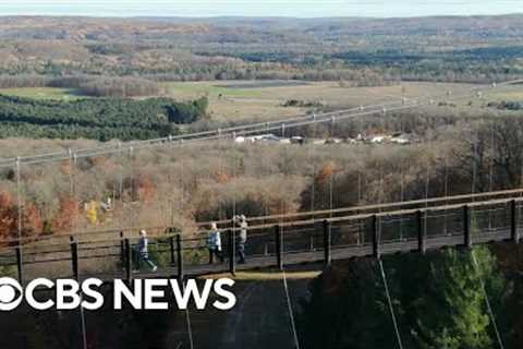 World''s longest timber-towered suspension bridge opens in Michigan