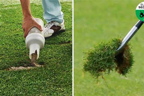 Should you fill your divot...or replace it? A superintendent explains what to do