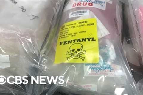 Fatal fentanyl overdoses on the rise in the U.S.