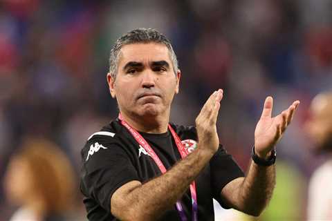 Tunisia coach stays on despite missing World Cup target