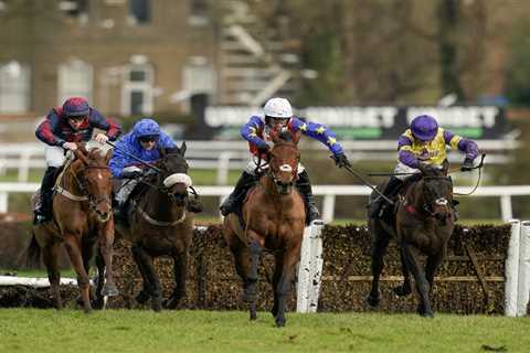 ‘I’ll be disappointed if he isn’t in the first four’ – Nicholls team eye Supreme at Cheltenham with ..